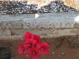 image of grave number 558438